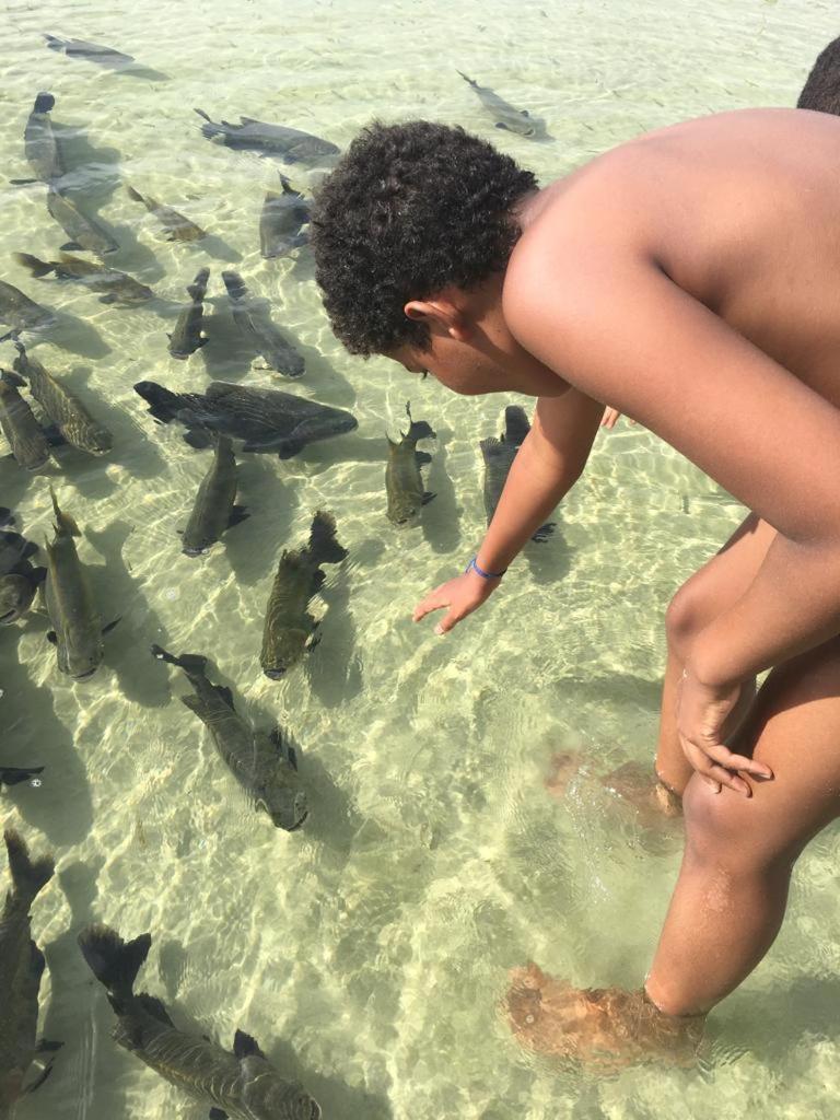 Villa Das Aguas -Praia Do Saco -Proximo As Lagoas Dos Tambaquis E Mangue Seco -Terreo Estância エクステリア 写真